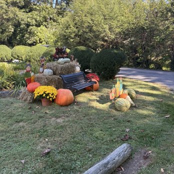 Route 19 Inn - Hotels Near Me - Maggie Valley, North Carolina Route 19 Inn - Hotels Near Me - Maggie Valley, North Carolina