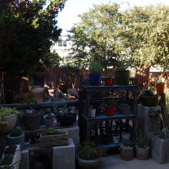 Garden Temple - Nurseries & Gardening Near Me - Studio City, California Garden Temple - Nurseries & Gardening Near Me - Studio City, California