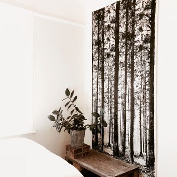 Johanna Sprague Design - Johanna Sprague Minimalist Scandinavian Bedroom - Feng Shui Near Me - Oakland, California