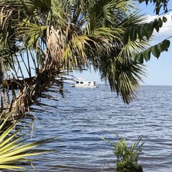 Holly Bluff Resort Marina - The Gator Hunter