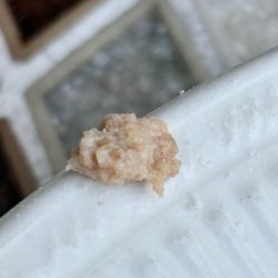 Mama Nina's - Tons of gristle cartilage- revolting