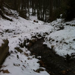 Alter Satzberg - Rosenbach