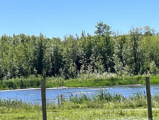 Elk Island National Park by null
