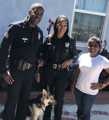 ALL BREED DOG TRAINING - Updated June 2024 - 16 Photos - Torrance