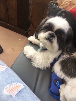 Gusto RistoBar by null