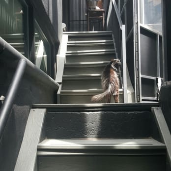 Koneko - Stairway between the three cat spaces. - Breakfast & Brunch Near Me - New York, New York