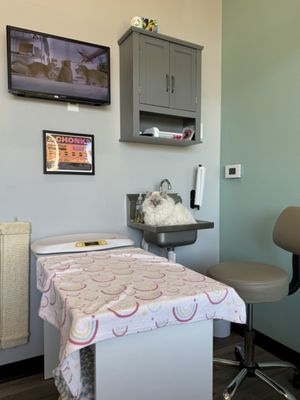 Trailwood Cat Hospital