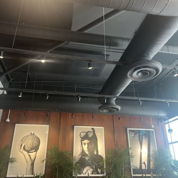 Nude Miami - Organic Stores Near Me - Miami, Florida