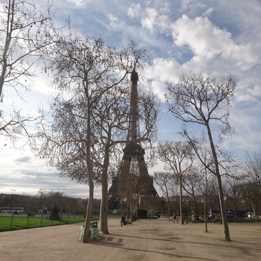 Champ de Mars - Walking through Champ de Mars. - Parks Near Me - Paris, 75