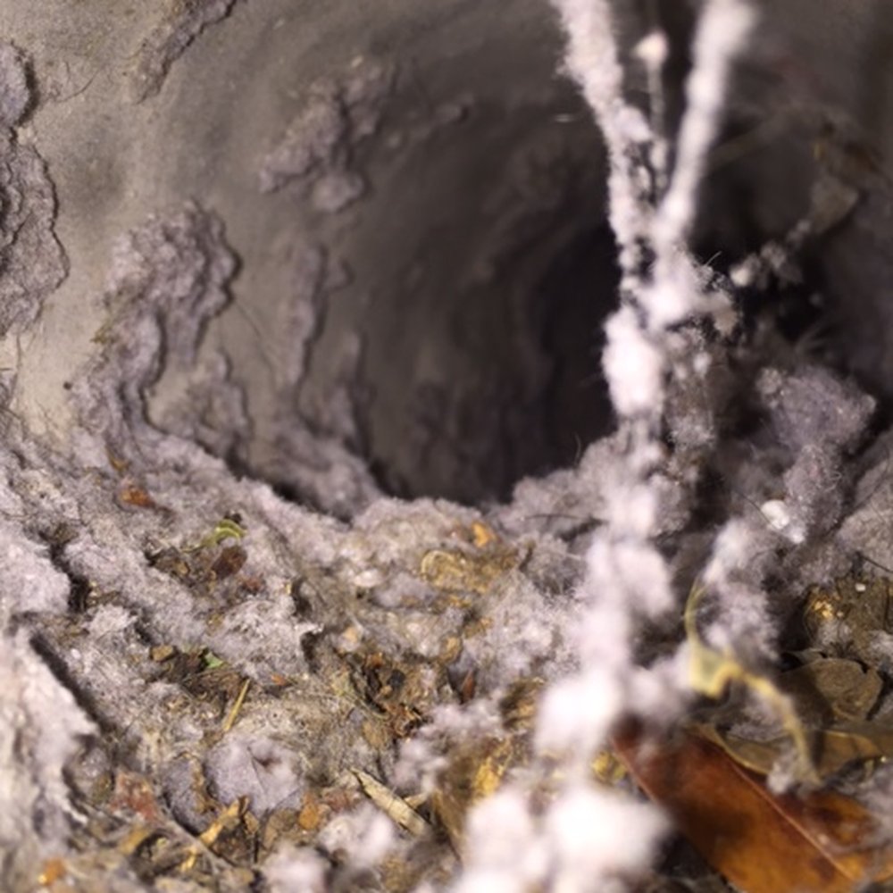 Breathable - Dryer vent before... - Heating & Air Conditioning/HVAC Near Me