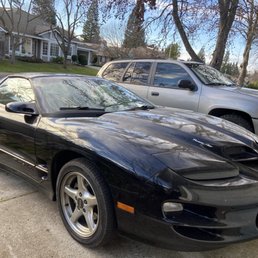 Salty Dog is a Ram Air Trans-Am Salty Dog is a Ram Air Trans-Am