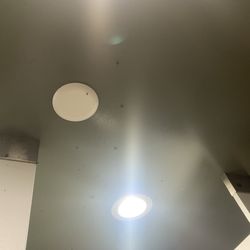 Manzanita Lake Campground - I think for this amount of flies something died in the vents
