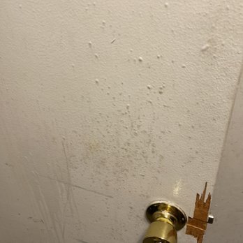 Chicago Mold Service - Epicoccum nigrum (yellow mold) found on the door and around the basement walls - Damage Restoration Near Me - Chicago, Illinois