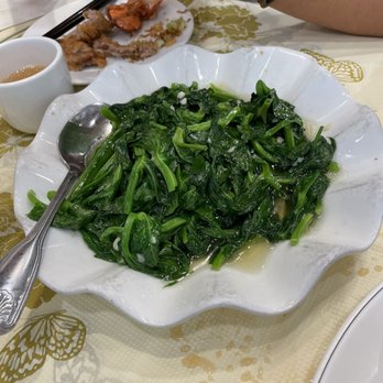 Golden Wonton King - Pea pod tips - Cantonese Near Me - Flushing, New York Golden Wonton King - Pea pod tips - Cantonese Near Me - Flushing, New York