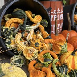 Whispering Pines Nursery and Garden Center 