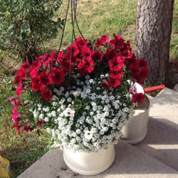 One of the hanging baskets!