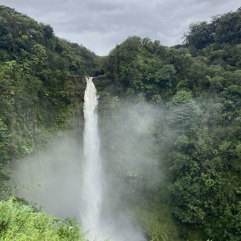 Akaka Falls State Park - Parks Near Me - Honomu, Hawaii