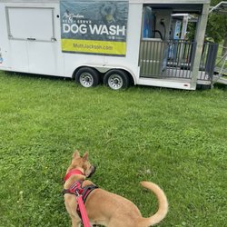Dog Beach at Belmont Harbor - Mobile dog wash conveniently outside the beach