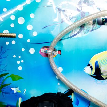 STC Dive Center - Scuba Diving Near Me - Clive, Iowa