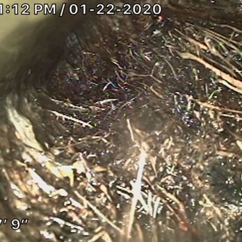 Non Stop Plumbing & Rooter - Root intrusion in sewer - Plumbing Near Me Non Stop Plumbing & Rooter - Root intrusion in sewer - Plumbing Near Me