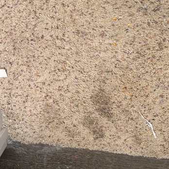 Firelands Construction - Stains on carpet caused by his workers - General Contractors Near Me - Columbus, Ohio