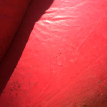 Little Town Party Supply - Make no mistake, that ain't dirt. That's mold. - Party Supplies Near Me - Wilmington, California Little Town Party Supply - Make no mistake, that ain't dirt. That's mold. - Party Supplies Near Me - Wilmington, California