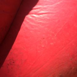 Little Town Party Supply - Make no mistake, that ain't dirt.  That's mold.