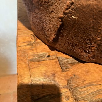 Eco Mama Green Clean  - dead fly on a table - Home Cleaning Near Me - Phoenix, Arizona