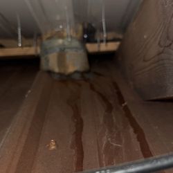A Cut Above Outdoors - Leaking new roof