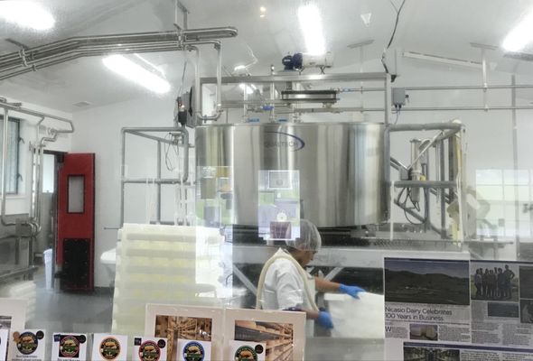 Nicasio Valley Cheese Company by null