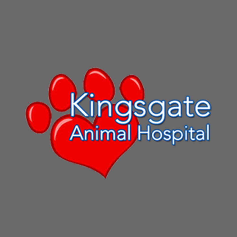 KINGSGATE ANIMAL HOSPITAL Updated August 2024 8415 Quaker Ave
