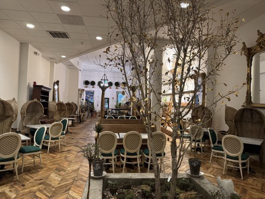 The Buttonwood by null