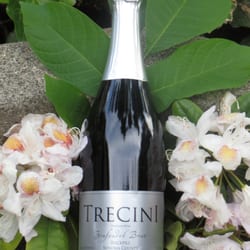 Trecini Winery - Trecini Sparkling Zinfandel