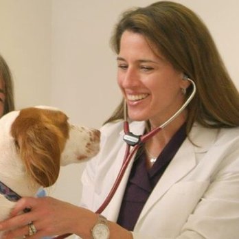 Vet Valet - Veterinarians Near Me Vet Valet - Veterinarians Near Me