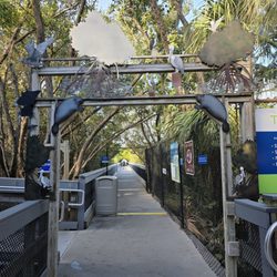 Manatee Viewing Center - The path to the pier