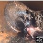 Photo of McNeal Sewer Solutions