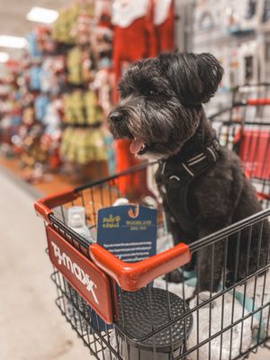 TJ MAXX - Updated February 2026 - 418 Photos & 129 Reviews - 1120 Kuala