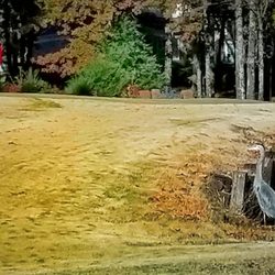 Wedgewood Golf Club - Leaving 18th Hole. Aviary sanctuary.