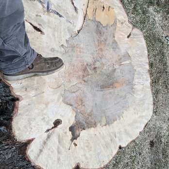 Freddy's Landscaping & Tree Service - Landscaping Near Me