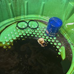 Costa Oil - 10 Minute Oil Change - two filter gaskets with new filter after removal by mechanic
