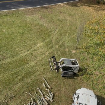 Trujillo Tree Service - Tree Services Near Me Trujillo Tree Service - Tree Services Near Me