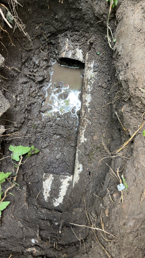 Slide of Clear Drains