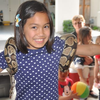 Jungle James Animal Adventures - Who doesn't love an snake warmer? - Party & Event Planning Near Me Jungle James Animal Adventures - Who doesn't love an snake warmer? - Party & Event Planning Near Me