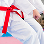 Photo of K-Tiger Maritial Arts TaeKwonDo