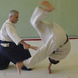 The Dojo  - Traditional Japanese Martial Arts - Aikido