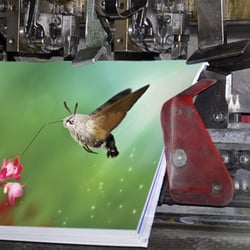 Lighthouse Printing