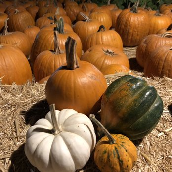 Lane Farms - Fruits & Veggies Near Me - Santa Barbara, California