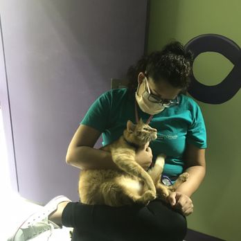 The Kitty Beautiful - Shanae sitting with her lover cat - Cafes Near Me - Orlando, Florida The Kitty Beautiful - Shanae sitting with her lover cat - Cafes Near Me - Orlando, Florida