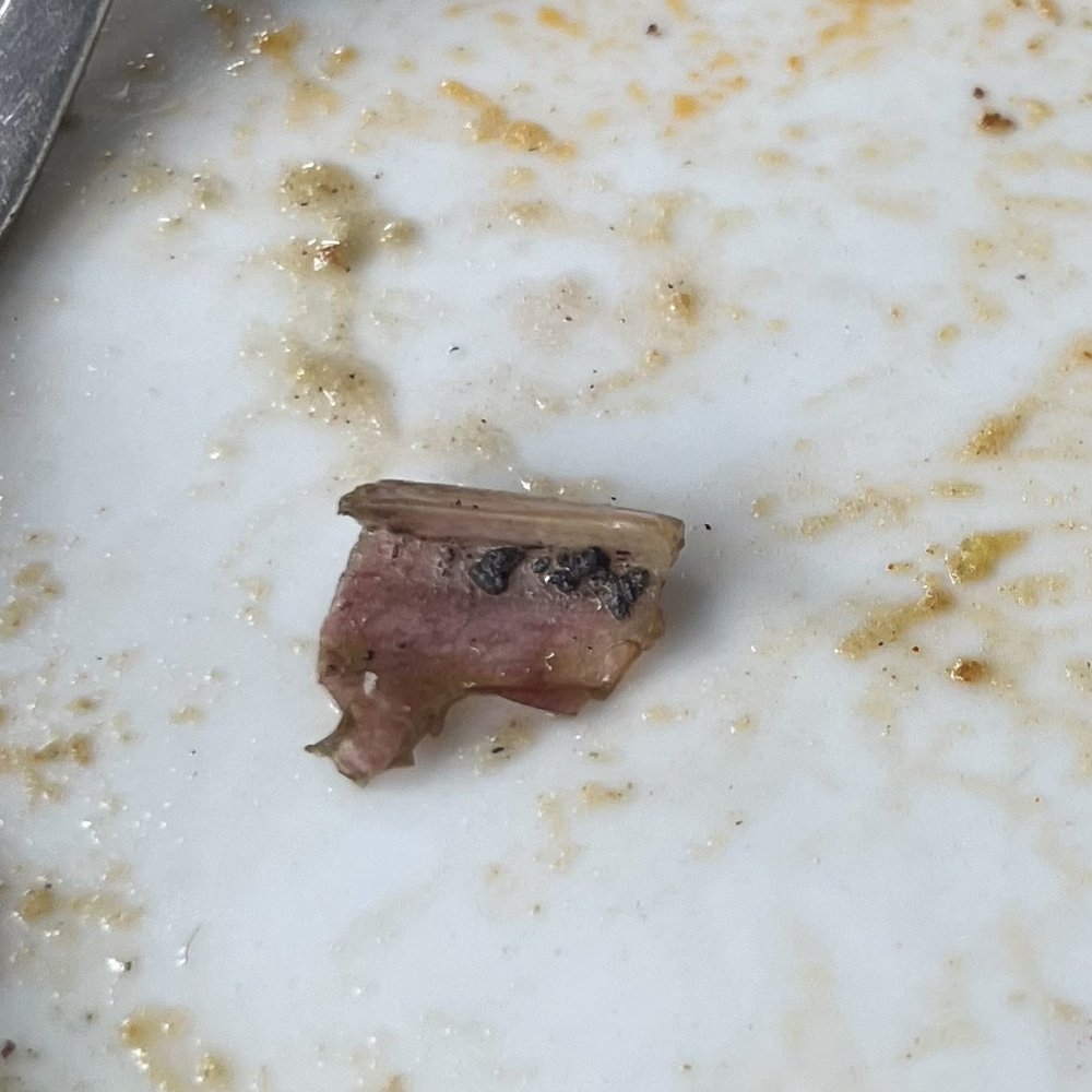 a half eaten plate of food a half eaten plate of food