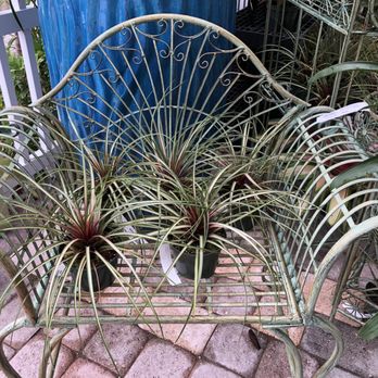 Rock City Gardens - Nurseries & Gardening Near Me - Sebastian, Florida Rock City Gardens - Nurseries & Gardening Near Me - Sebastian, Florida